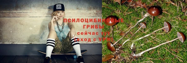 гашишное масло Мегион